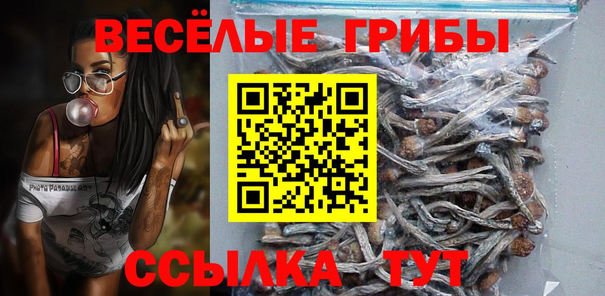 Галлюциногенные грибы Cubensis  Галлюциногенные грибы Magic Shrooms  что такое наркотик  Вход с VPN  Петровск 